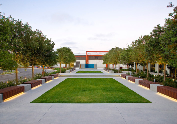 Lawn area adjacent to the parking lot