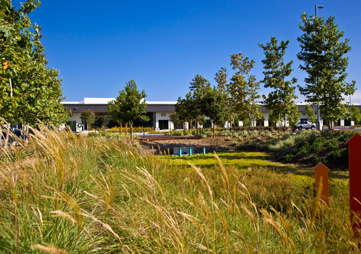 Central Park habitat